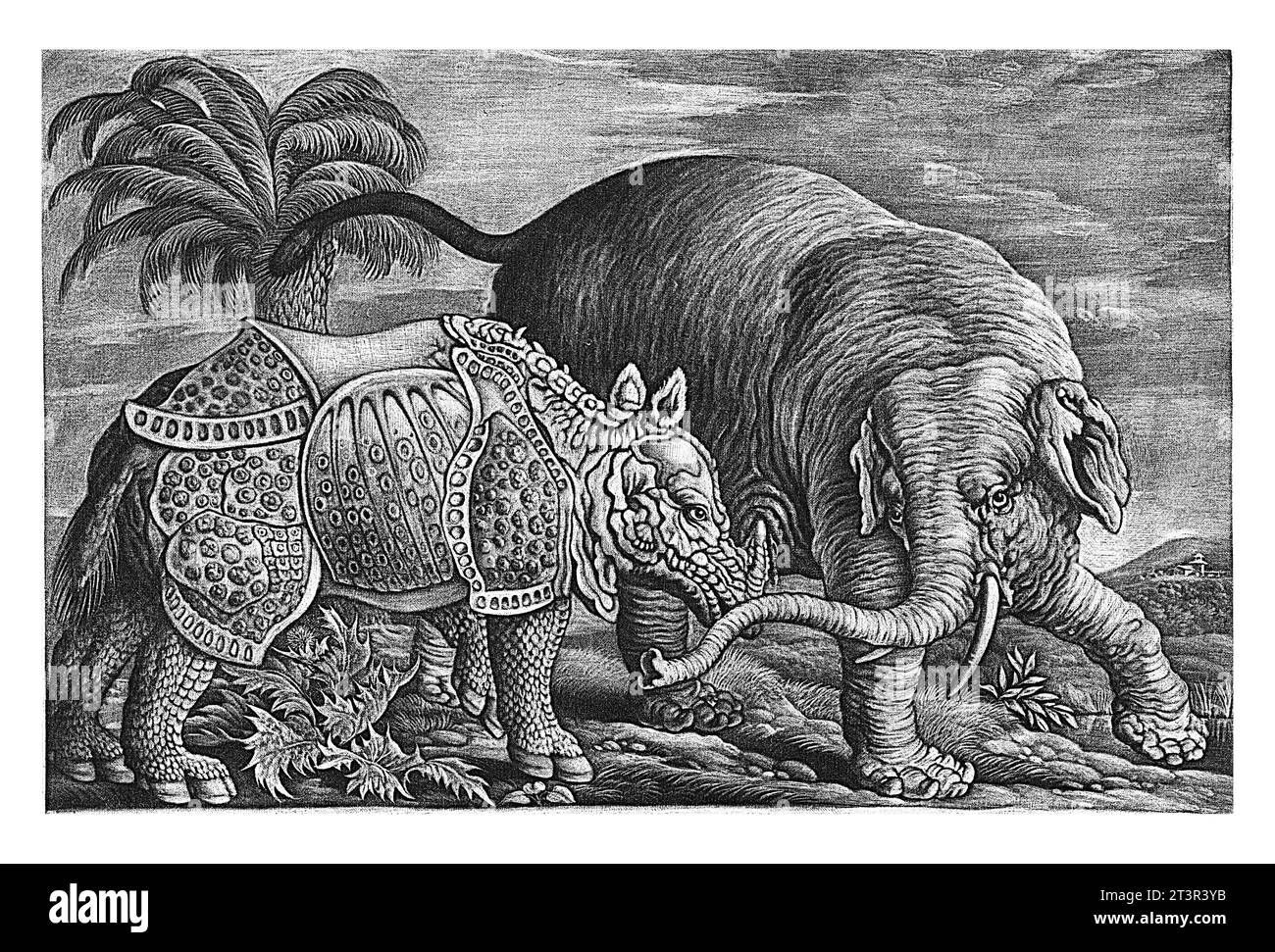 Elefant und Nashorn, Jan Griffier (I), nach Francis Barlow, 1667–1717 ein Elefant und ein Nashorn sind in einer Landschaft mit einer Palme und dargestellt Stockfoto