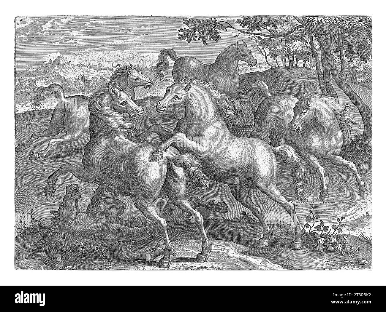 Sechs Kampfpferde, Adriaen Collaert (zugeschrieben), nach Jan van der Straet, ca. 1578 - ca. 1582 sechs Pferde. Eines der Pferde liegt auf der Erde Stockfoto