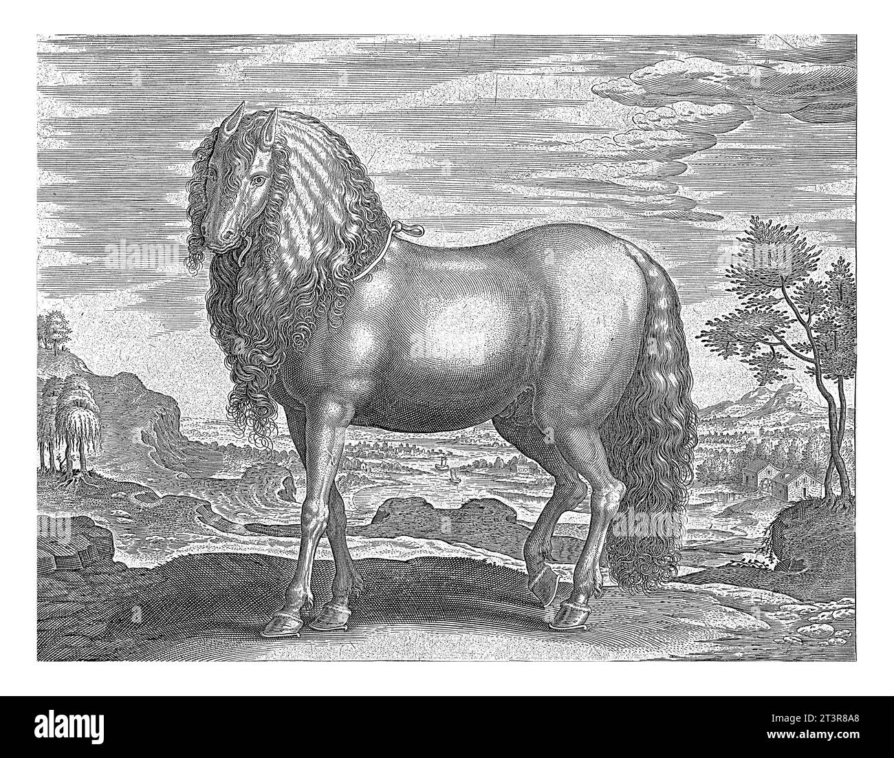 Pferd aus Rumänien (Dacus), Hans Collaert (I) (zugeschrieben), nach Jan van der Straet, ca. 1578 - ca. 1582 Ein rumänisches Pferd, im Profil. Stockfoto