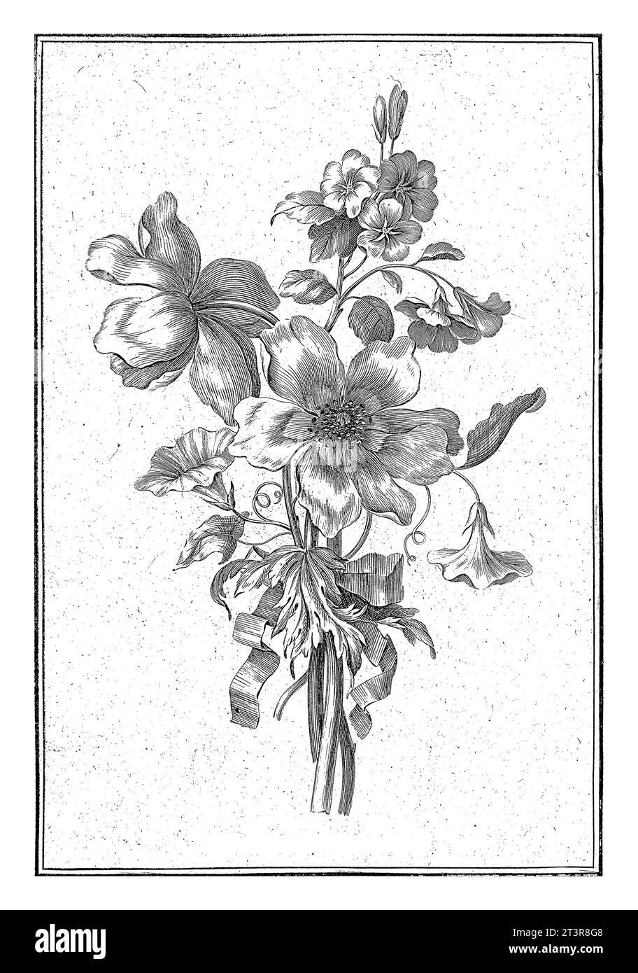 Blumenstrauß aus Anemonen und Binden, Jean Jacques Avril (I), nach Jean Baptiste Monnoyer, 1754–1794 die Blumen sind mit einem Band zusammengebunden. Stockfoto