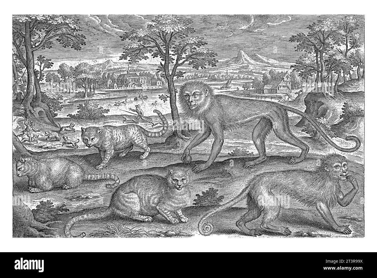 Affen und Katzen, Adriaen Collaert, 1595 - 1599 zwei Affen und drei Katzen im Vordergrund. Im Hintergrund eine Landschaft mit Männern, die Mönche jagen Stockfoto