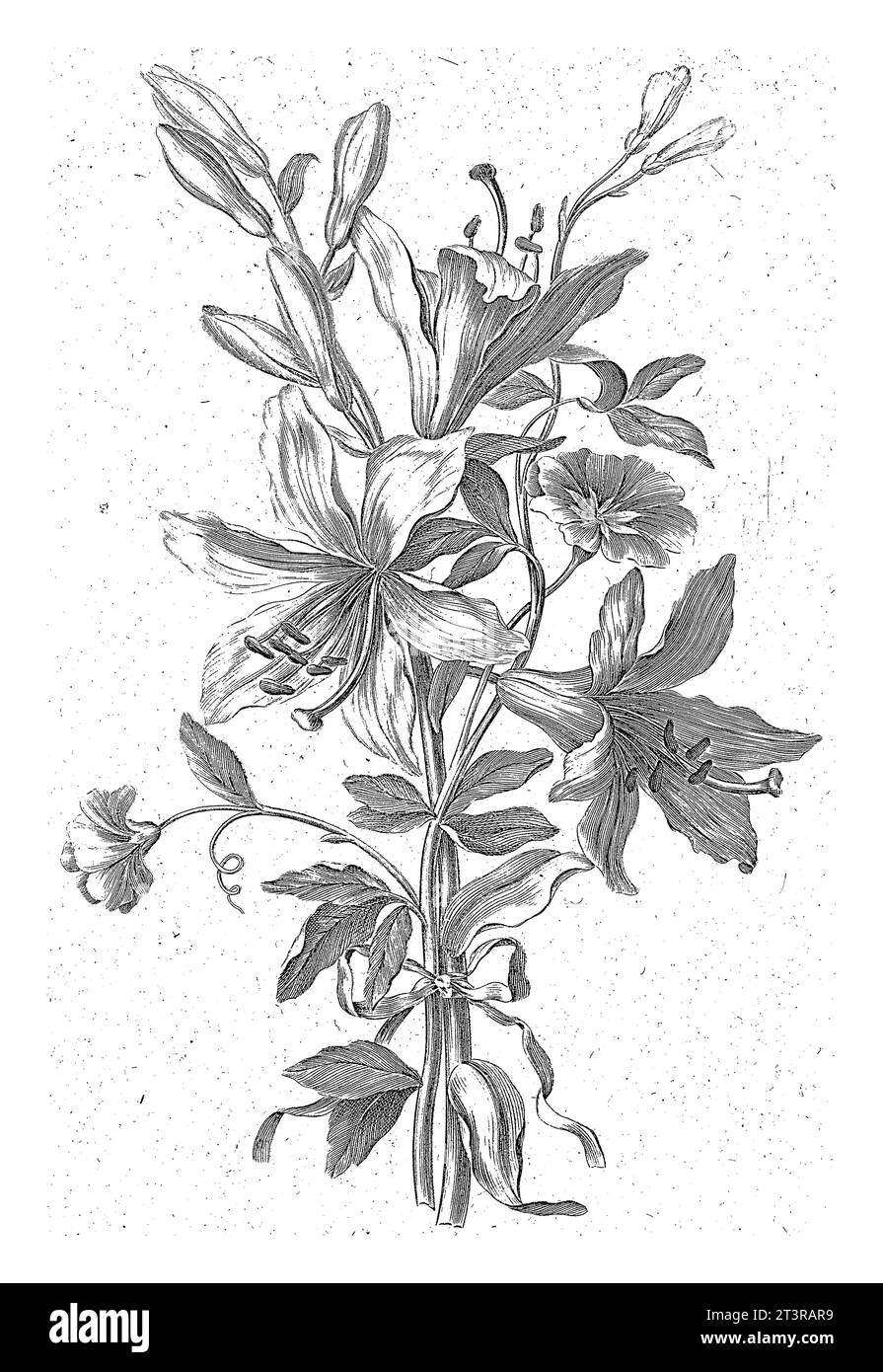 Blumenstrauß mit Lilie, Jean Jacques Avril (I), nach Jean Baptiste Monnoyer, 1754 - 1794 die Blumen sind mit einem Band zusammengebunden. Stockfoto