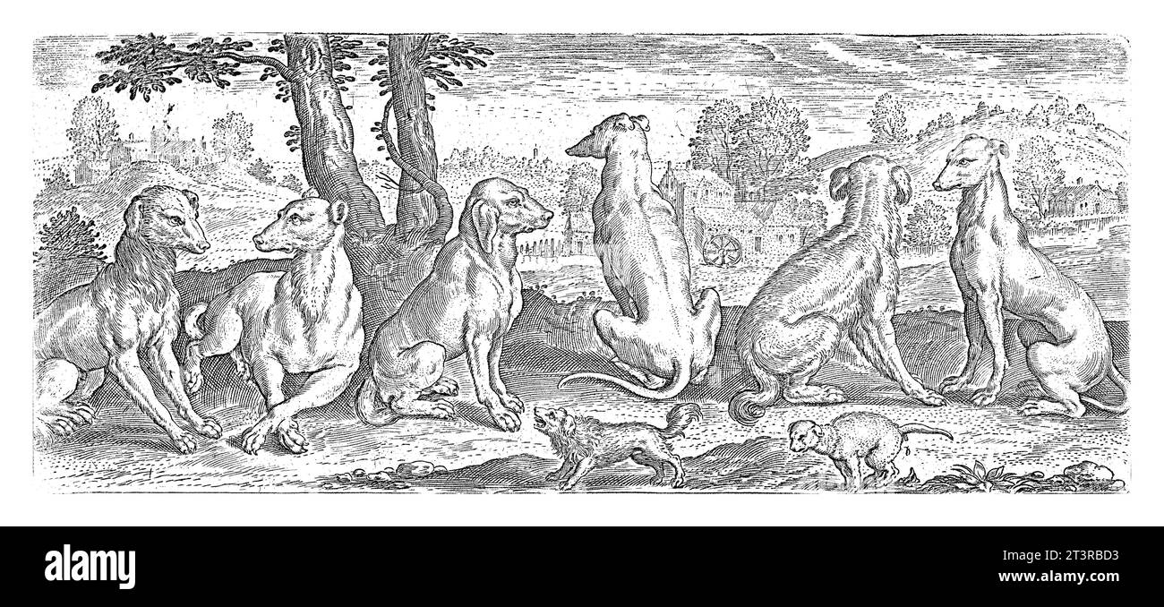 Dogs, Abraham de Bruyn, nach 1583 Eine Sammlung von Bildern aller Arten von Hunden. Sechs Hunde stehen oder sitzen. Ein kleiner Schoßhund bellt, während ein anderer Kerl Stockfoto