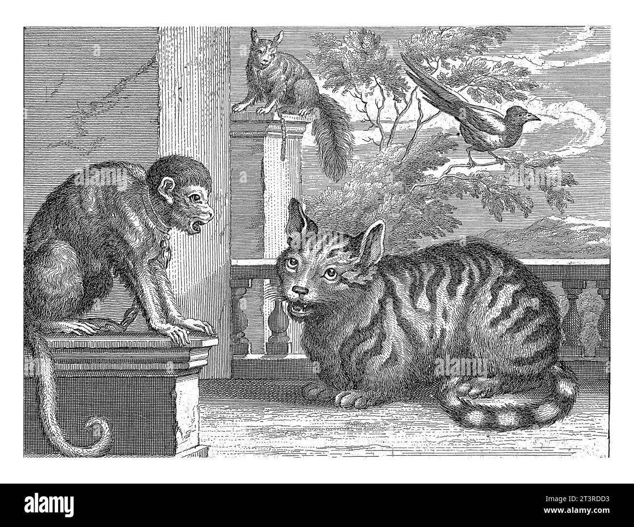 Affe; Katze; Eichhörnchen und Elster; Jan Griffier (I); nach Francis Barlow; 1680 - 1694 Ein Affe und eine Katze sitzen auf einer Terrasse. Ein Eichhörnchen sitzt auf einem Stockfoto