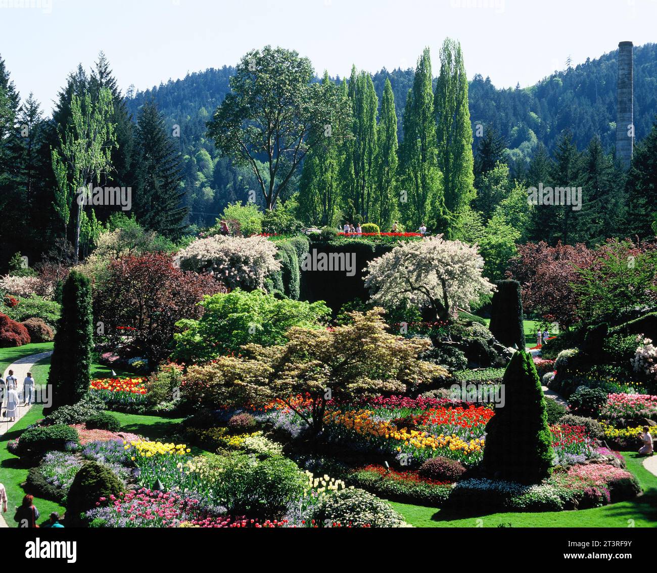 Kanada. British Columbia. Vancouver Island. Butchart Gardens. Stockfoto