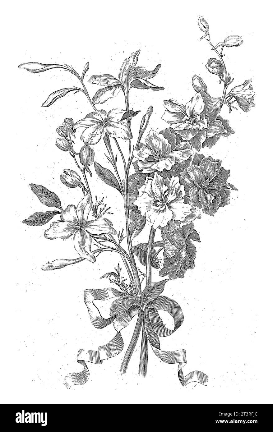 Bouquet aus Jasmin und larkspur, Jean Jacques Avril (I), nach Jean Baptiste Monnoyer, 1754–1794 die Blumen sind mit einem Band zusammengebunden. Stockfoto