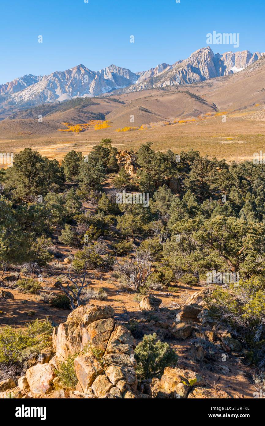 Wandern im Little Lakes Valley in den östlichen Sierra Nevada Mountains außerhalb von Bishop, Kalifornien. Bergseen, Herbstblattfarben, schneebedeckte Berge Stockfoto