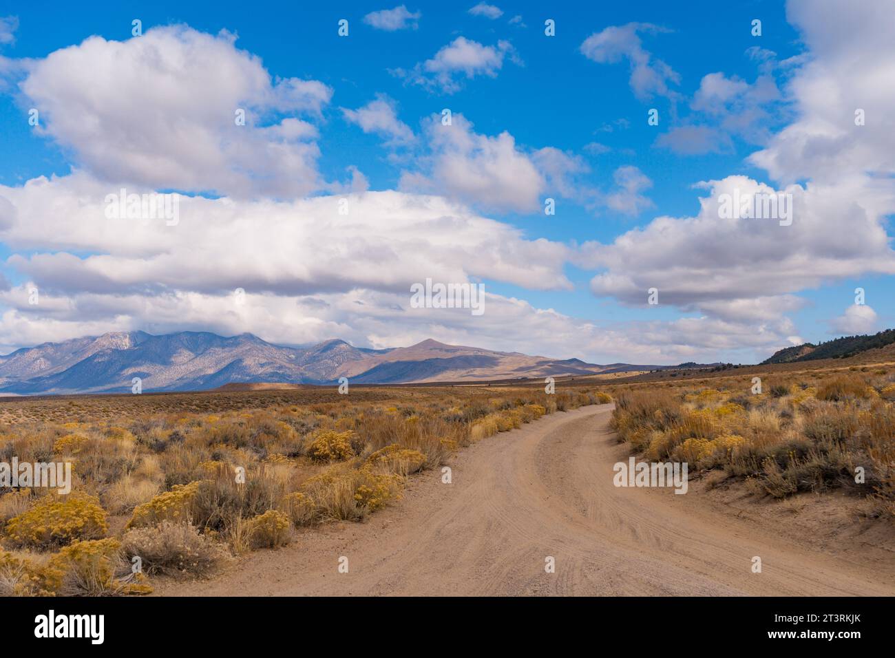 Blick auf den Crowley Lake und die Crowley Lake Säulen außerhalb von Bishop California im Owens Valley. Verstreute Wolken und hohe Wasserstände. Stockfoto