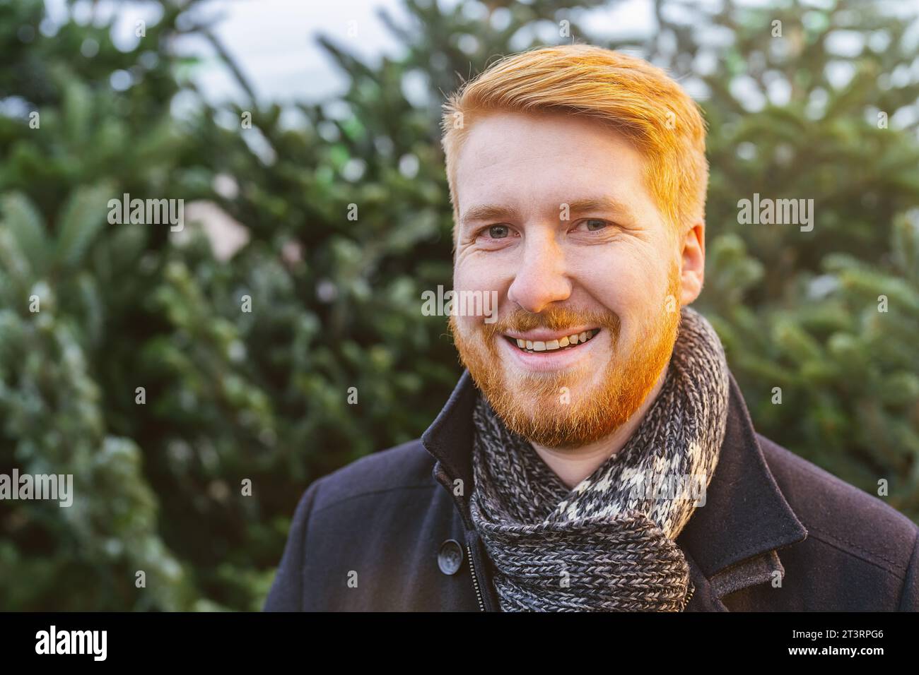 Fröhlicher rothaariger Mann inmitten von weihnachtsbäumen auf einem Straßenmarkt Stockfoto