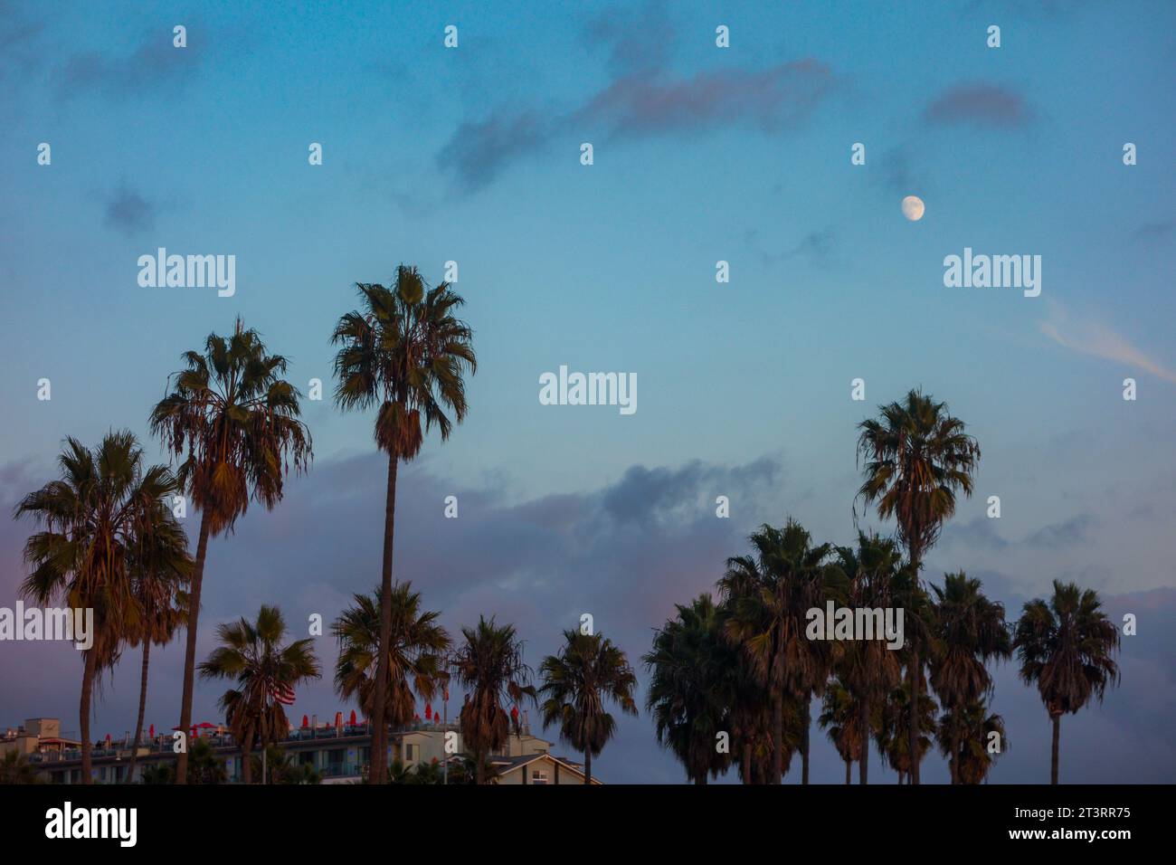 Palmensilhouetten in Venice Beach, CA. Verstreute Wolken und ein orangener Sonnenuntergang über dem pazifik in Los Angeles. Stockfoto
