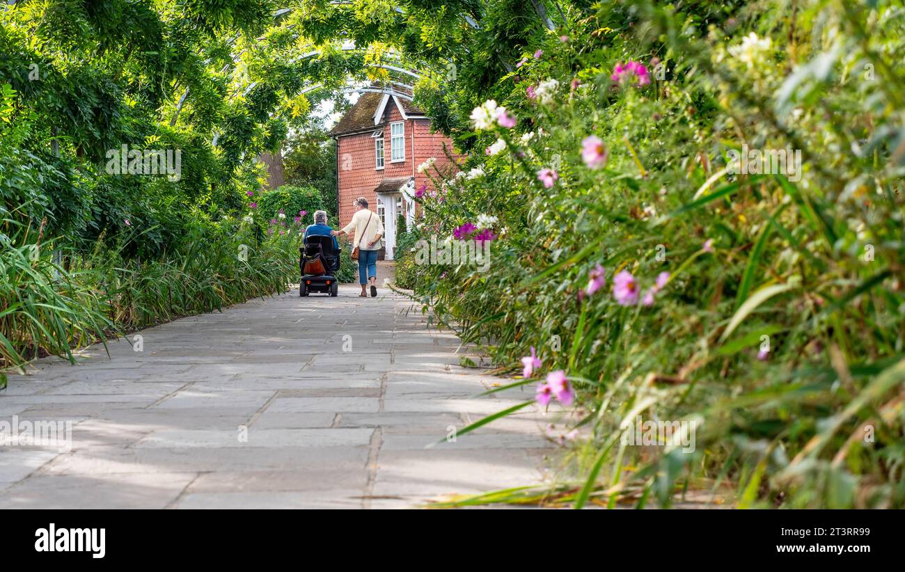 GARTENBEGLEITERIN und ältere Dame im Alter draußen (berührende Pflege), auf ihrem Mobilitätsroller im Garten, der durch den Garten navigiert, zeigt Cosmos bipinnatus und Tunnel aus üppig grünen, nicht blühenden Glyzinien, auf flachem Stein, rollstuhlgerechtem Fußgängerweg. Stockfoto