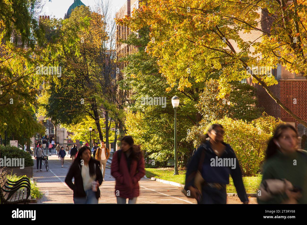 Heuschrecke-Spaziergang mit Studierenden im Herbst, University of Pennsylvania Universität Stadtgebiet, Philadelphia, PA, USA Stockfoto