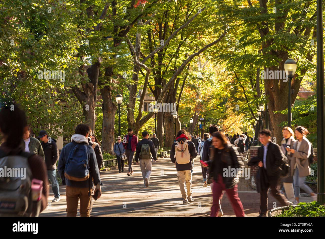 Heuschrecke-Spaziergang mit Studierenden im Herbst, University of Pennsylvania Universität Stadtgebiet, Philadelphia, PA, USA Stockfoto