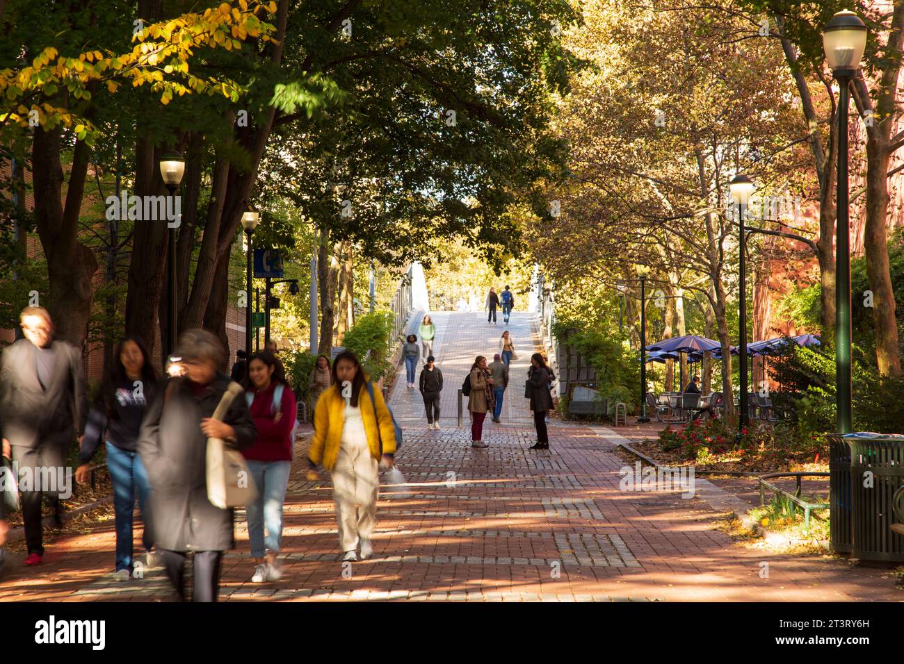 Heuschrecke-Spaziergang mit Studierenden im Herbst, University of Pennsylvania Universität Stadtgebiet, Philadelphia, PA, USA Stockfoto