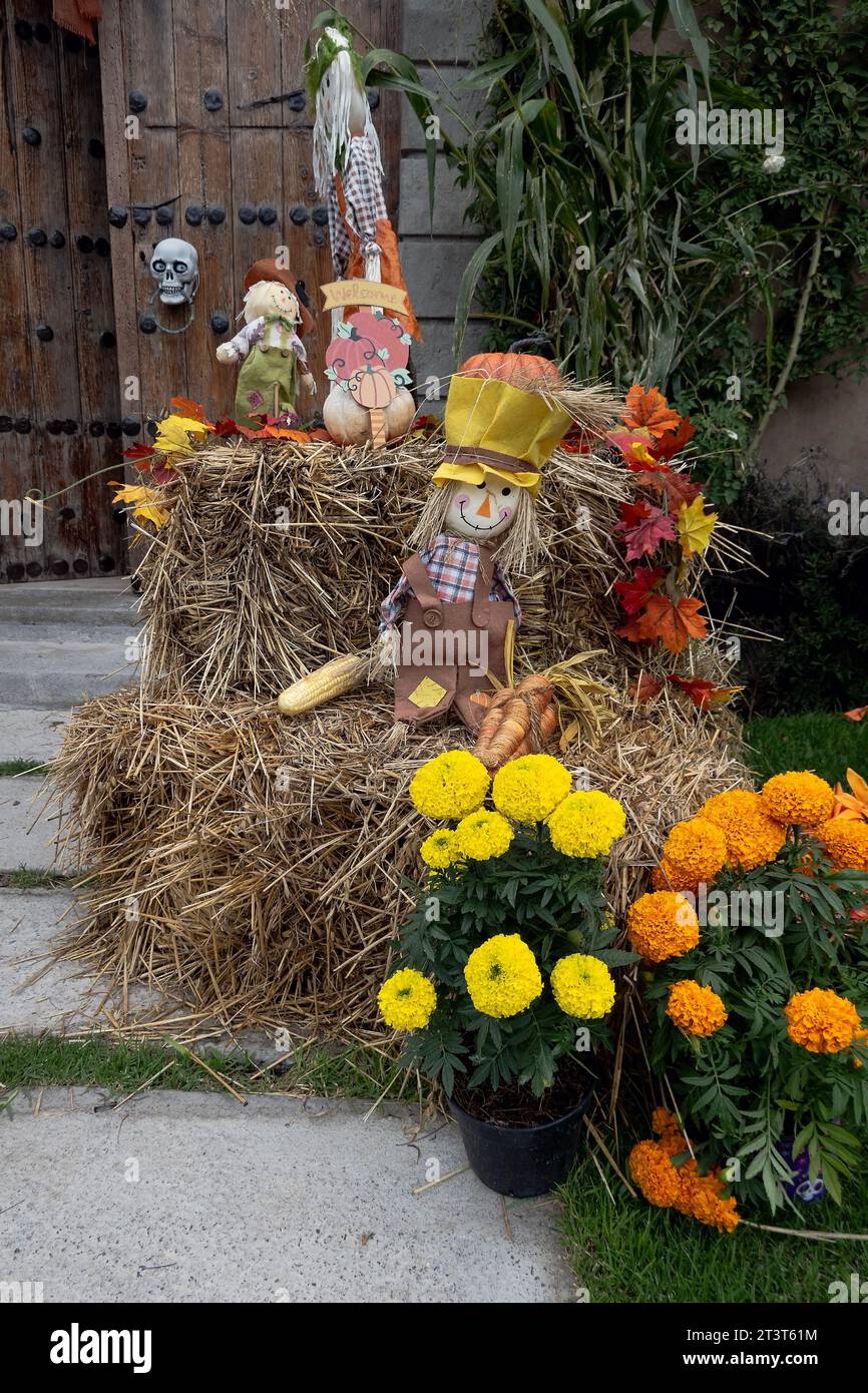 Halloween-Arrangement vor rustikaler Holztür Stockfoto