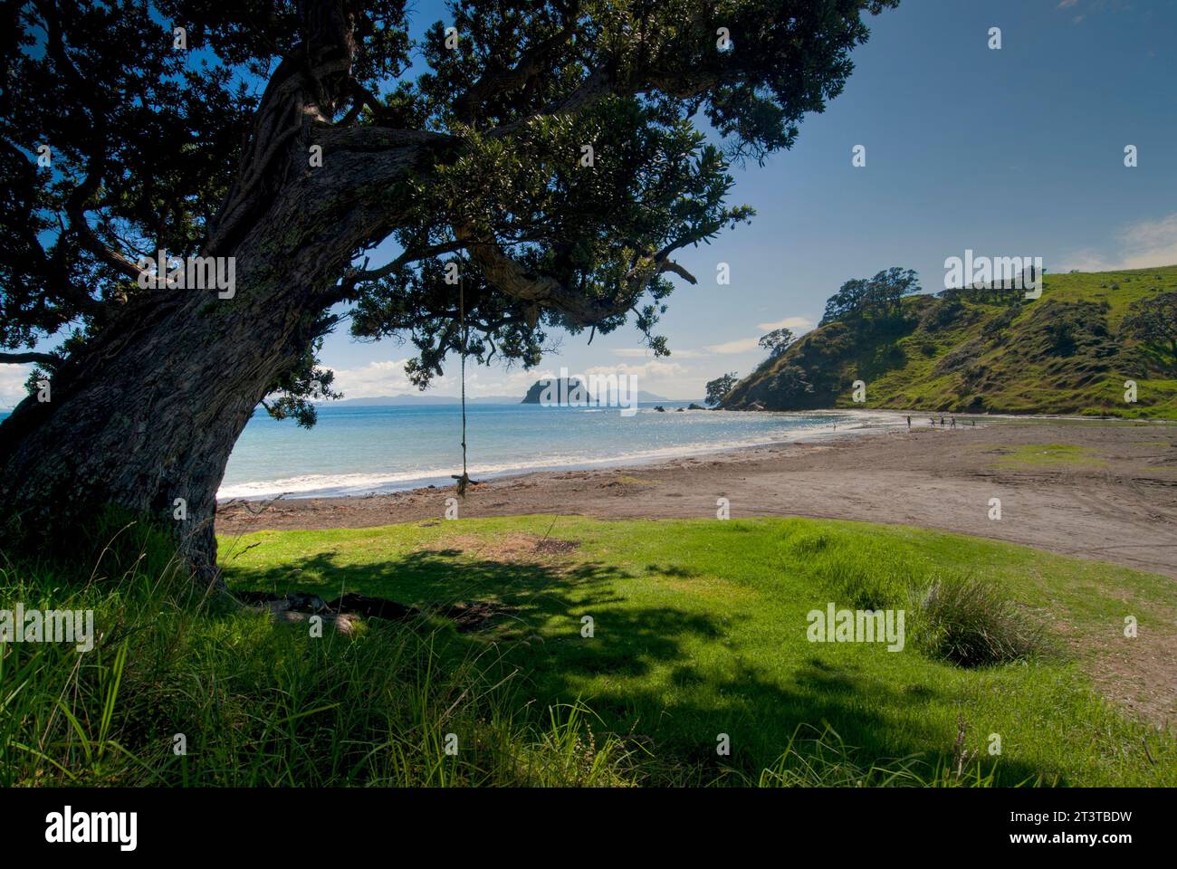 Fletcher Bay Campingplatz auf der Spitze der Coromandel Peninsular auf Nordinsel, Neuseeland Stockfoto