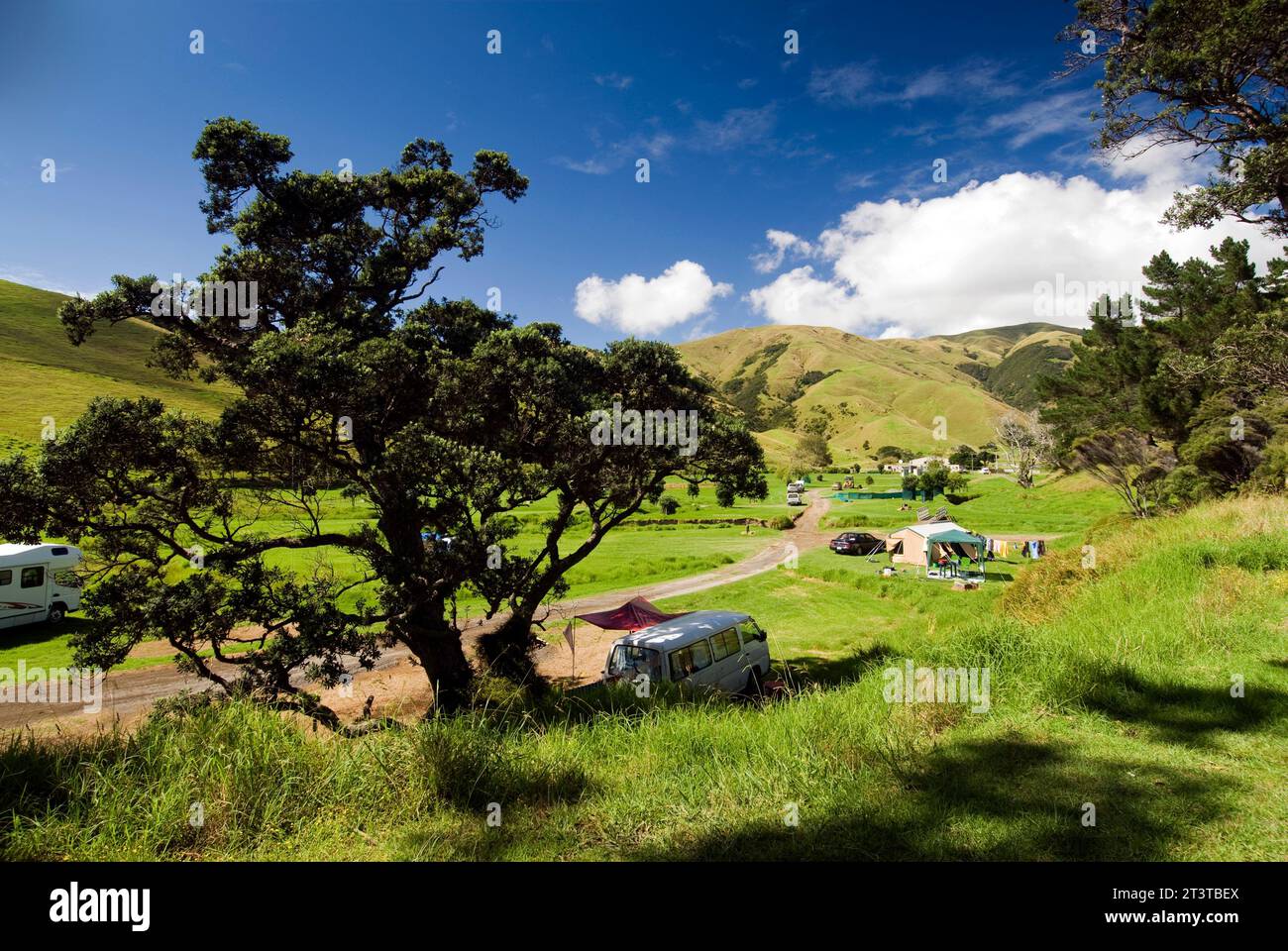 Fletcher Bay Campingplatz auf der Spitze der Coromandel Peninsular auf Nordinsel, Neuseeland Stockfoto