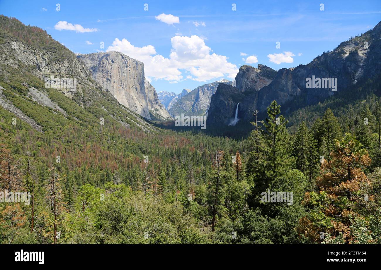 Tunnelansicht, Yosemite NP Stockfoto