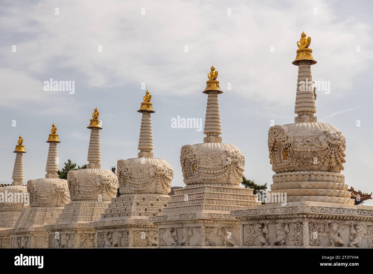 Acht Verdienstorben im da Zhao oder Wuliang Tempel (IH Juu auf Mongolisch), einem tibetisch-buddhistischen Kloster des Gelugpa-Ordens in Hohhot, Innere Mongolei, C. Stockfoto