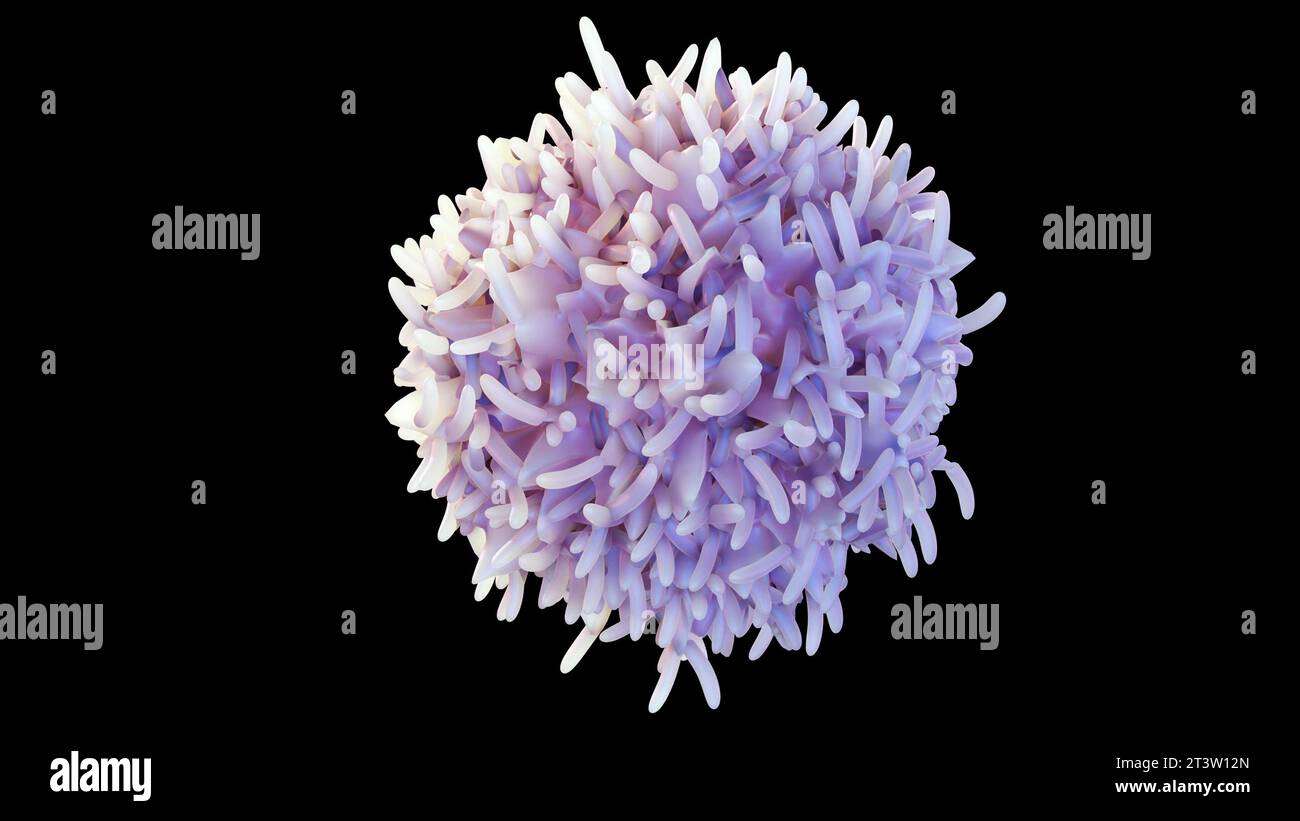 Weiße Blutkörperchen, sogenannte Lymphozyten, schützen den Körper normalerweise vor Keimen, indem sie Proteine herstellen, die als Antikörper-3D-Rendering bezeichnet werden Stockfoto