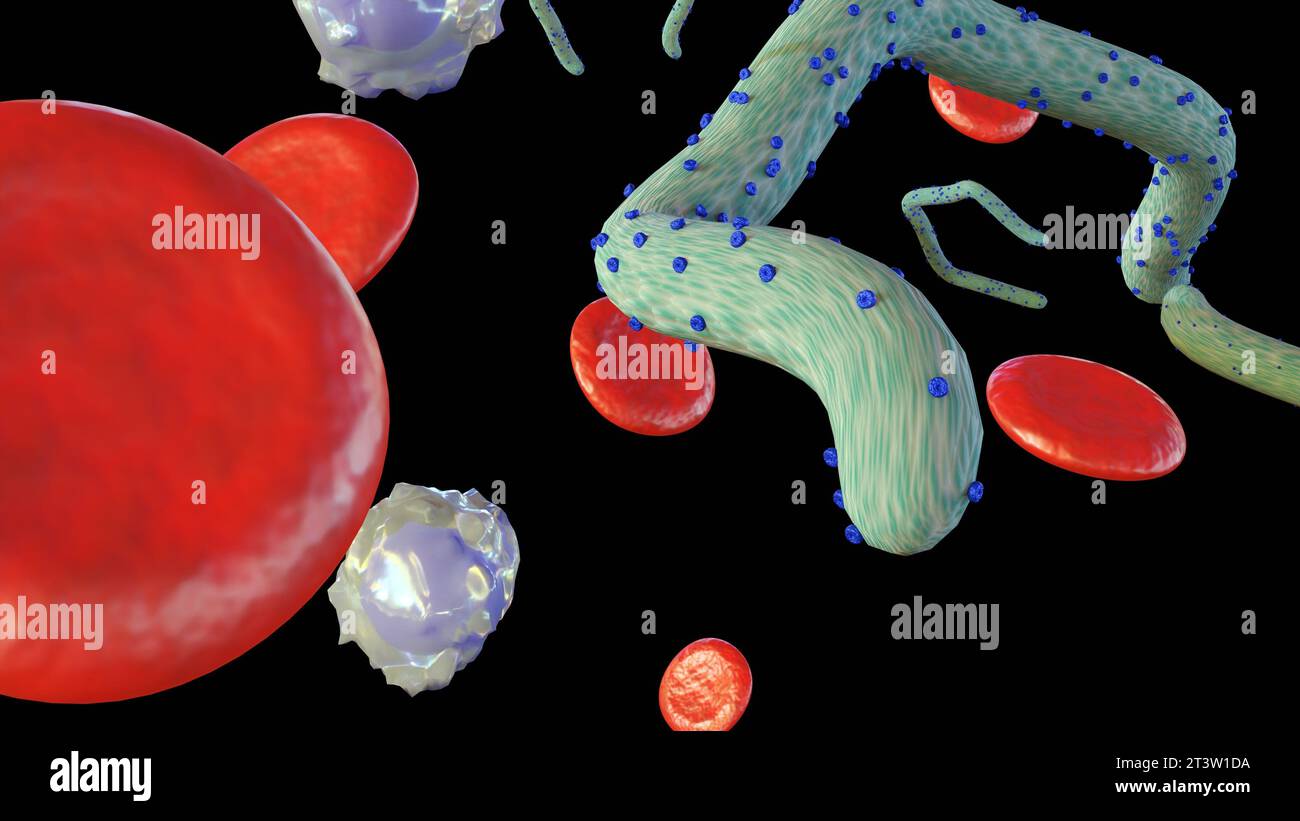 3D-Rendering eines Ebola-Virus im menschlichen Körper mit verstreuten roten und weißen Blutkörperchen Stockfoto