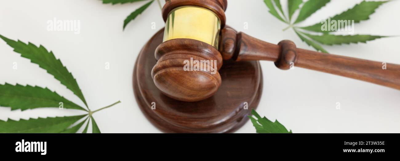 Richterhammer und Block, umgeben von Marihuana-Blättern Stockfoto