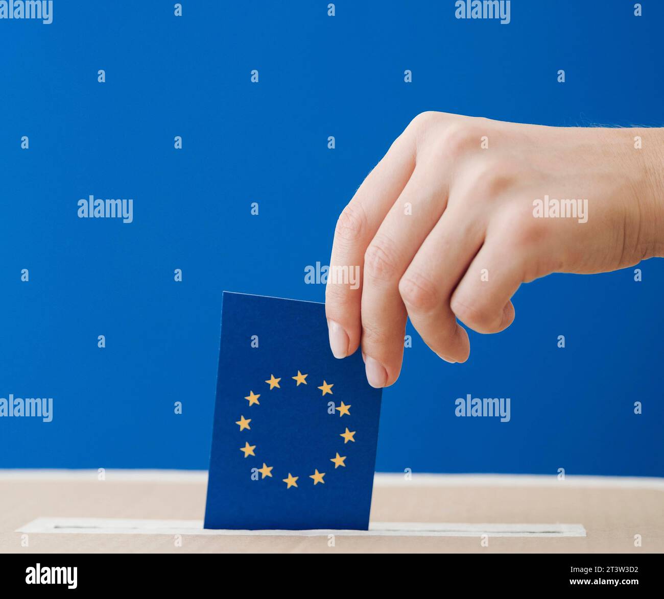 Seitenansicht der Frau, die an den europawahlen beteiligt ist, Nahaufnahme Stockfoto