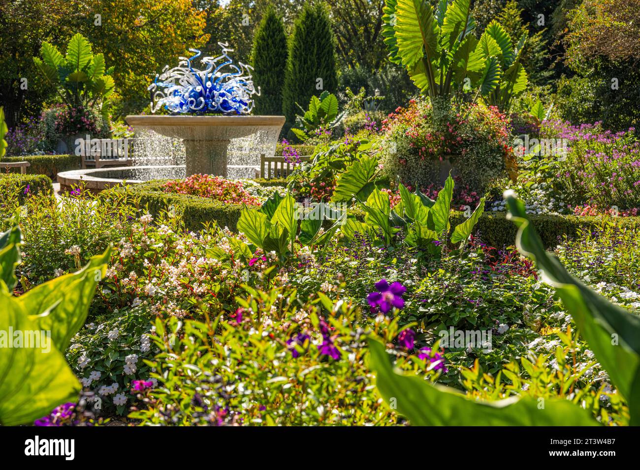 Levy Parterre im Atlanta Botanical Garden an einem wunderschönen Herbstnachmittag in Midtown Atlanta, Georgia. (USA) Stockfoto