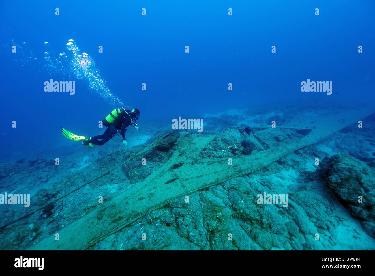 Massives Geistergeldwadennetz, das felsige Lebensräume in Gokova Bay, MPA Türkei, bedeckt. Stockfoto
