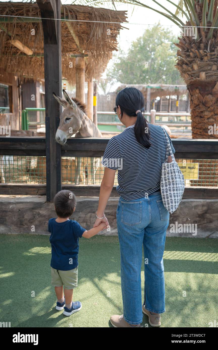 Der zweijährige Junge und seine Mutter beobachten Esel in einem Zoo im Freien. Sie stehen über dem Käfig mit Tieren, der Junge hält die Ha seiner Mutter Stockfoto