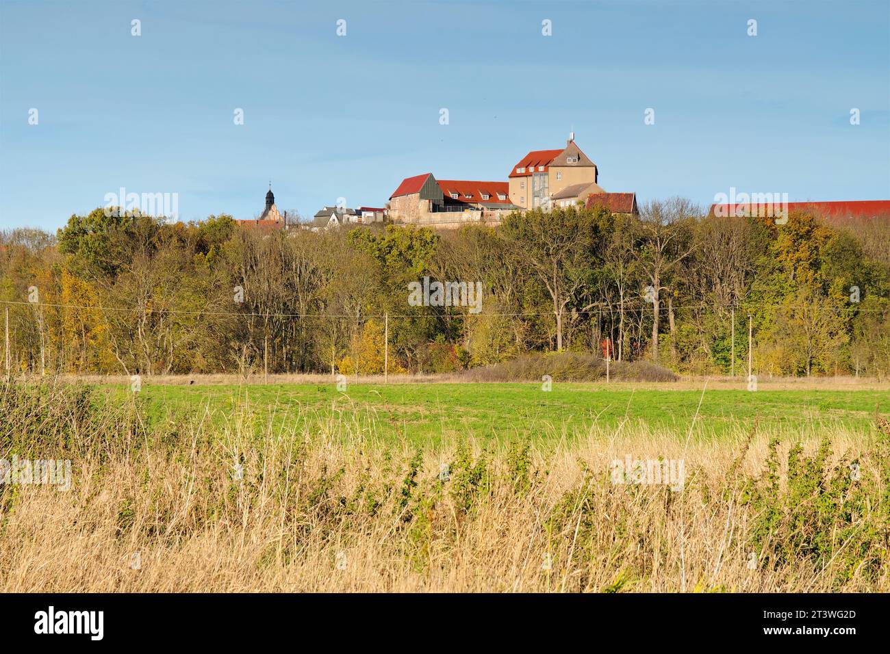 Schloss Giebichenstein Wettin an der Saale im Herbst Stockfoto