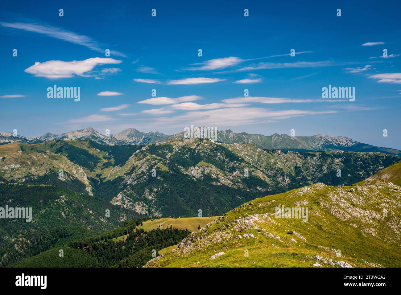 Retezat Berge vom Oslea Bergkamm in den Valcan Bergen in Rumänien an einem fantastischen Sommertag Stockfoto