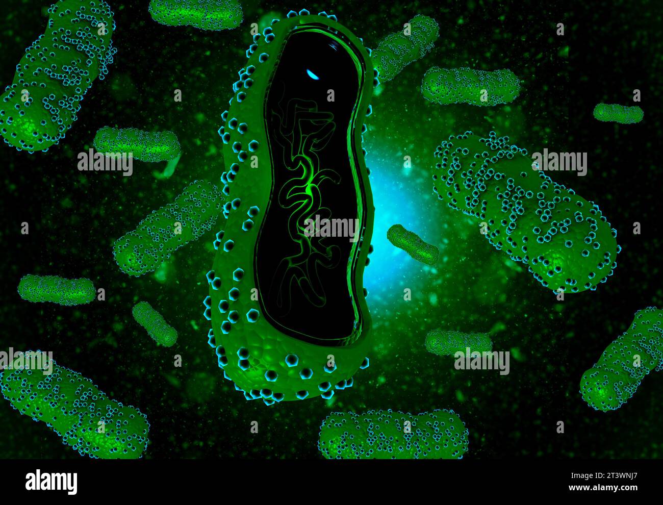 Struktur des Virus auf abstraktem Virushintergrund. 3D-Rendering Stockfoto