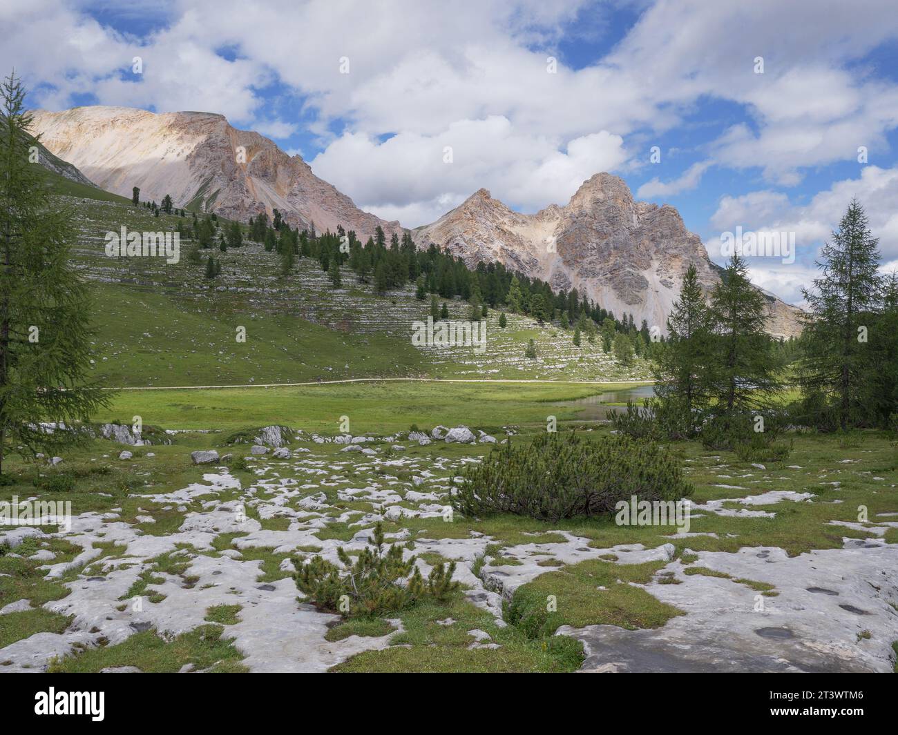 Le Vert See in der Nähe der Lavarella Hütte im Grünen des Naturparks Fanes - Sennes - Prags, Alpi, Italien. Stockfoto