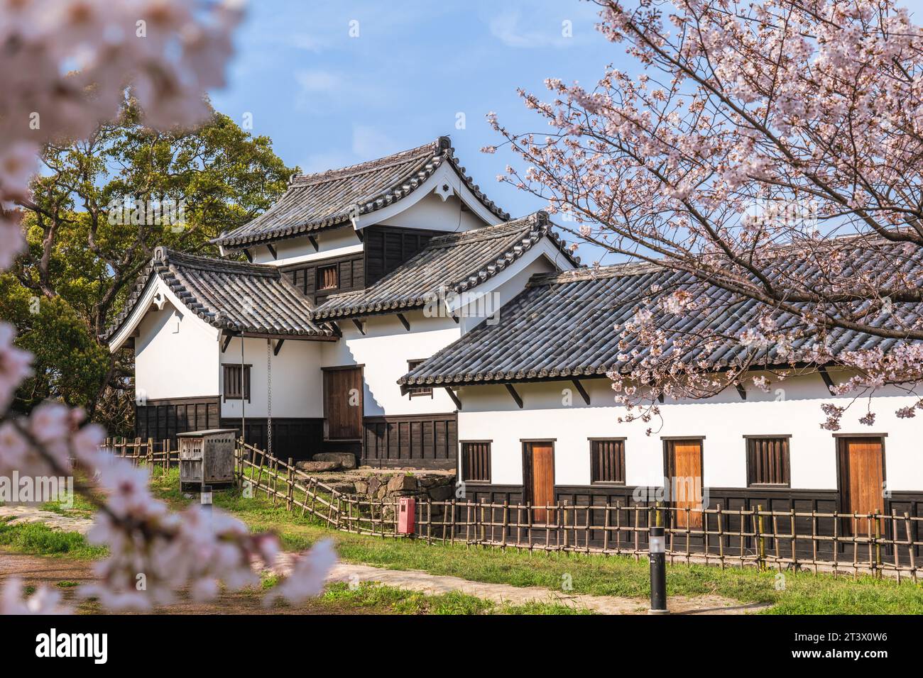 Landschaft der Burg Fukuoka mit Kirschblüte in Fukuoka, Kyushu, Japan Stockfoto
