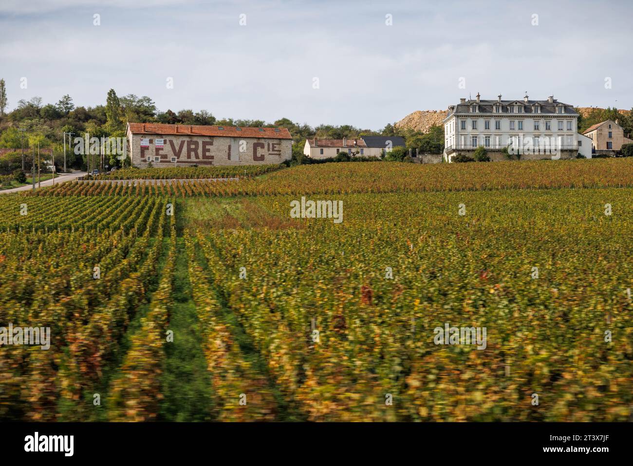 Blick auf die Weinberge in Burgund, Frankreich. Stockfoto