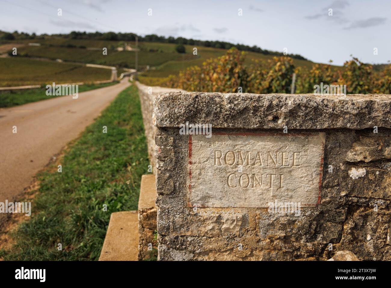 Das Weingut von RomanÃ Conti, ein seltener Wein aus Burgund. Stockfoto