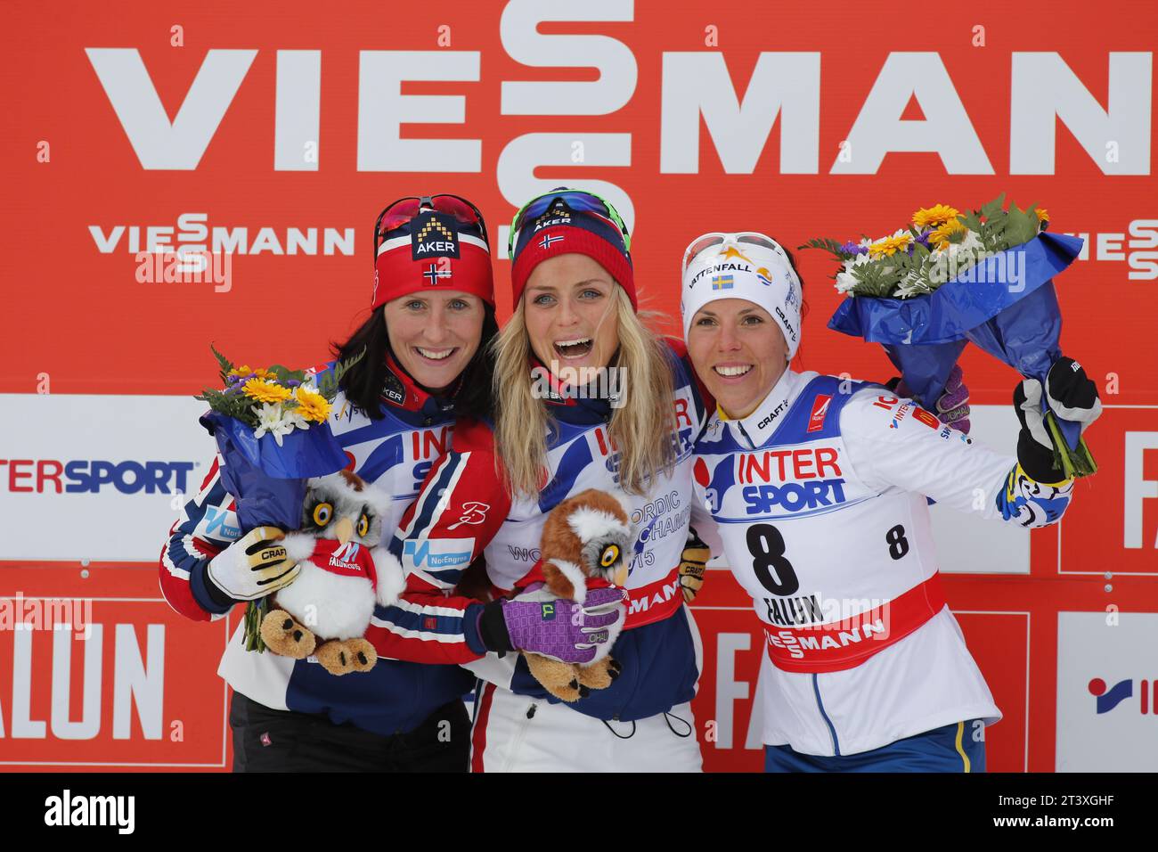 Viessmann Werbebanden FIS NORDISCHE SKI-WELTMEISTERSCHAFT 2015 in Falun, Schweden am 28.02.2015 Stockfoto