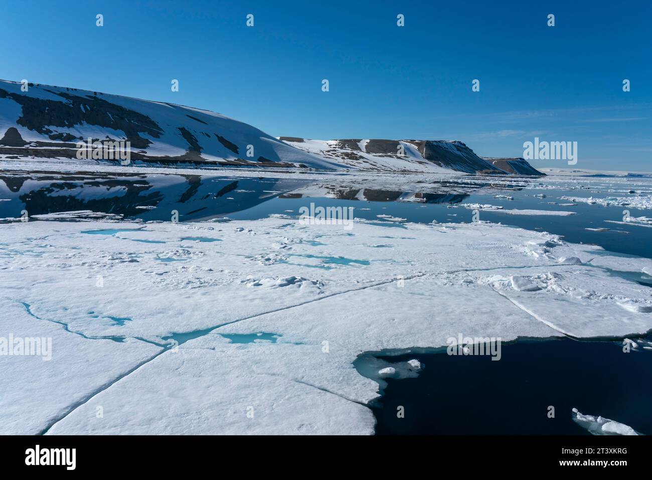 Meereis in Nordausladet, Svalbard Inseln, Norwegen. Stockfoto