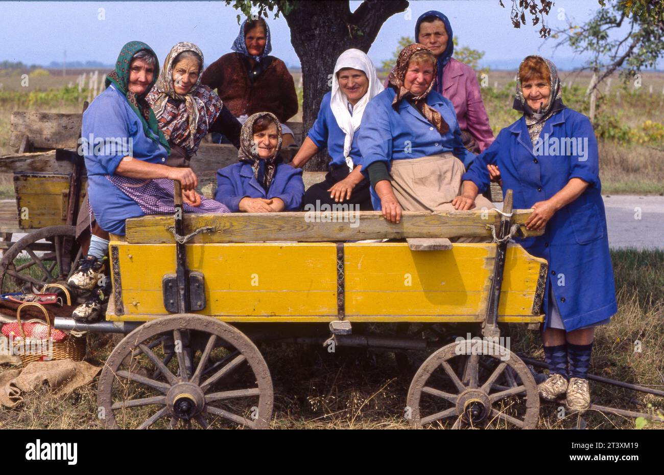 Bulgarien, Region Dobrich. Bauerninnen in einem Eselkarren. Stockfoto