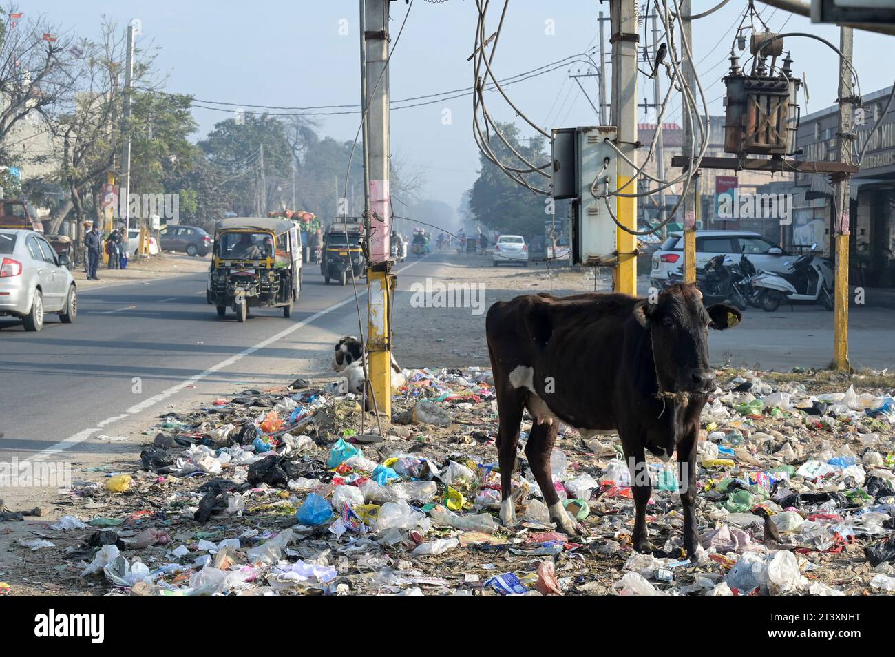 INDIEN, Punjab, Kapurthala, Kunststoff- und organische Abfälle entlang der Straße / INDIEN, Punjab, Kapurthala, Plastik und organischer Müll am Straßenrand Stockfoto