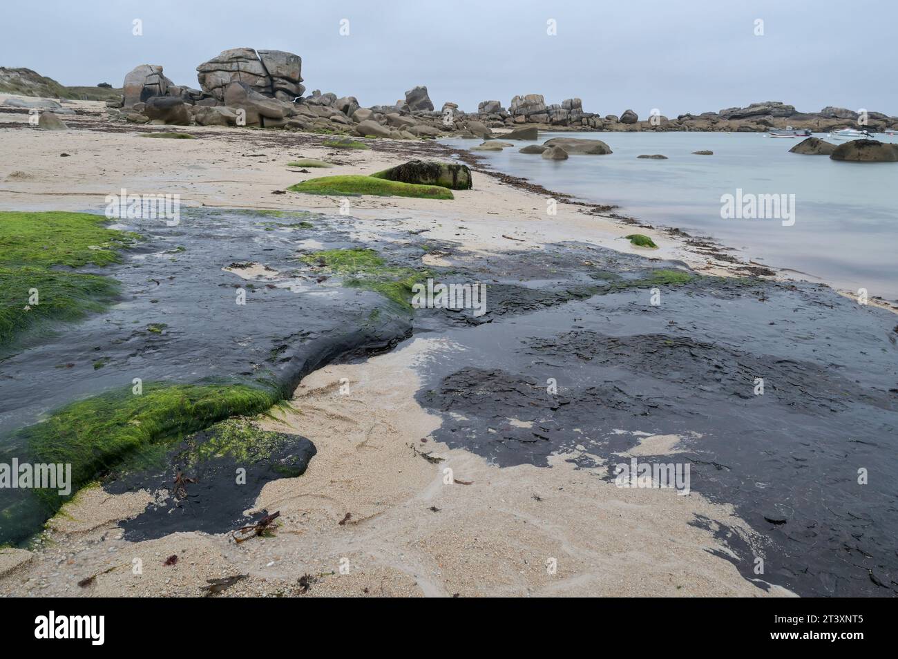 FRANKREICH, Bretagne, Plage de Menehem, Auswirkungen des Öltankers Amoco Cadiz Disaster, 1978 Rohöl am Strand / FRANKREICH, Bretagne, Strand von Menehem, Ölreste der Tankerkatastrophe der Amoco Cadiz, Aufnahmedatum 10.8.2023 Stockfoto