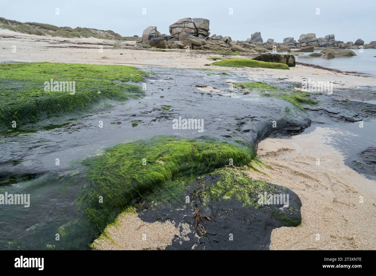 FRANKREICH, Bretagne, Plage de Menehem, Auswirkungen des Öltankers Amoco Cadiz Disaster, 1978 Rohöl am Strand / FRANKREICH, Bretagne, Strand von Menehem, Ölreste der Tankerkatastrophe der Amoco Cadiz, Aufnahmedatum 10.8.2023 Stockfoto