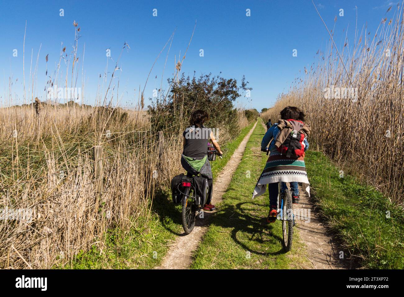 Parque Natural de La Albufera de Mallorca, Prat de Son Serra, Mallorca, Balearen, Spanien, Europa. Stockfoto