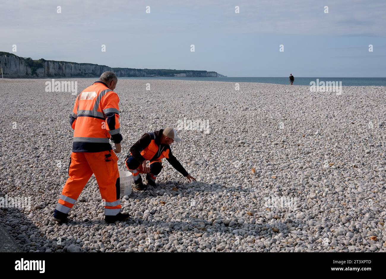Stadtarbeiter sammeln Steine am Strand von Fecamp, Frankreich, Frankreich, Normandie, 2023 Stockfoto