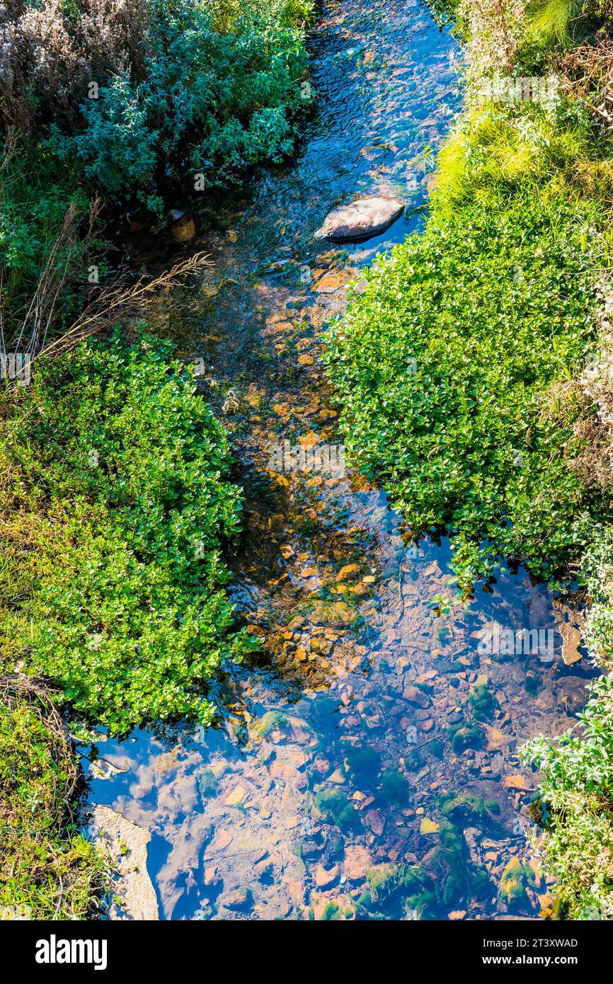 Kristallklares Wasser des Lebanza Baches, bevor er in den Pisuerga River fließt, während er durch das Dorf fließt. San Salvador de Cantamuda, La Pern Stockfoto