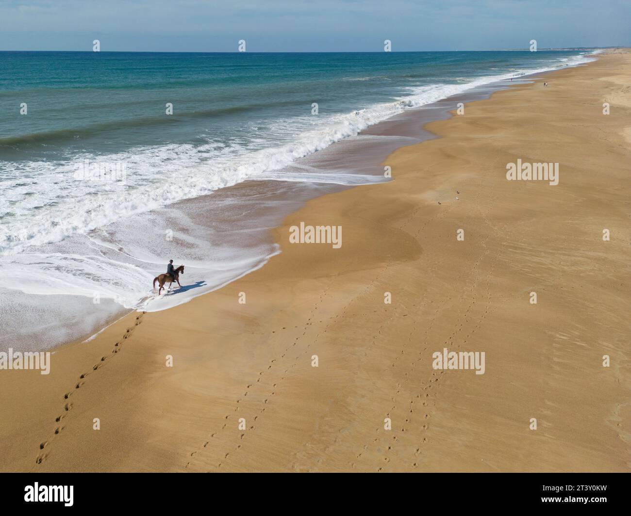 Reiten für einen einsamen Reiter am Strand von Landes (Sea, Tarnos (40220), Landes (40), Nouvelle-Aquitaine, Frankreich). Stockfoto