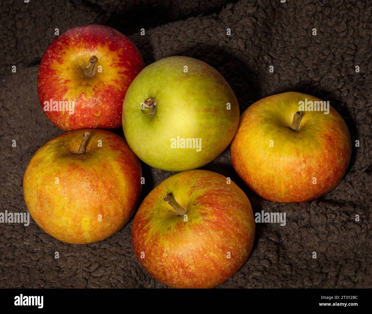 Ein Bündel/eine Gruppe Äpfel Stockfoto