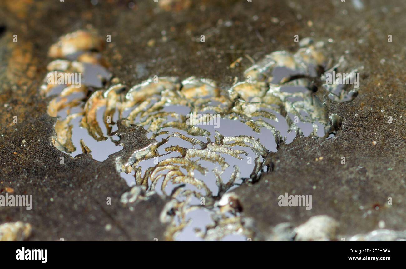 Makrodetail aus korrodiertem Edelstahl Stockfoto