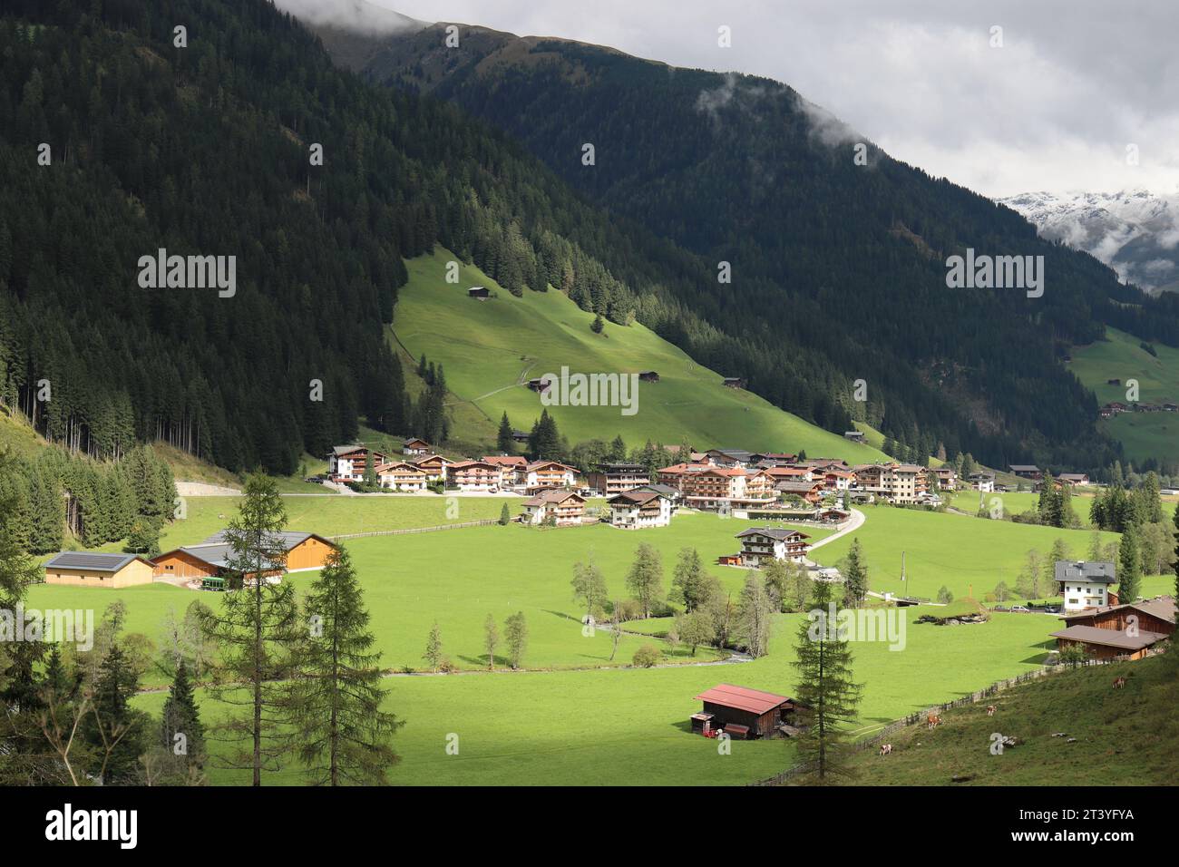 Vor dunklen Berghängen und zwischen grünen Wiesen wird das Zillertaler Bergdorf Madseit von der Sonne beleuchtet Stockfoto